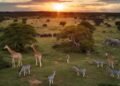 Kruger National Park