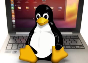 Linux Consultant
