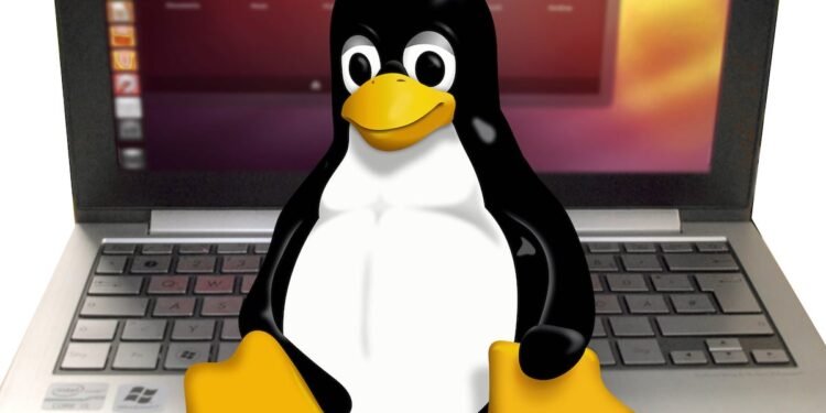 Linux Consultant