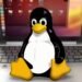 Linux Consultant